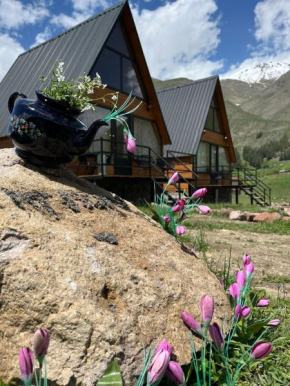 MTISGULI Cottages